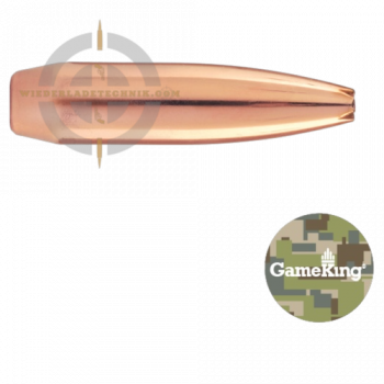 Sierra GameKing 1728 Geschoss